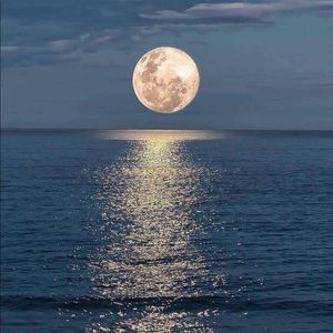 Meet your Posher, Darlene